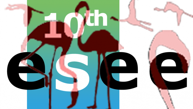 10th esee – 10th European Symposium on Electrochemical Engineering